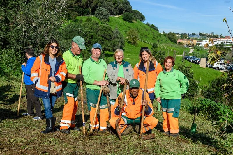 Companies join the "Plant your tree in Lisbon